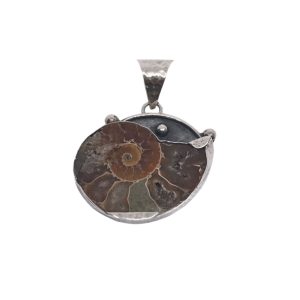 Ammonite Fossil Pendant