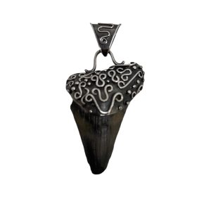 Fossilized Shark Tooth Pendant