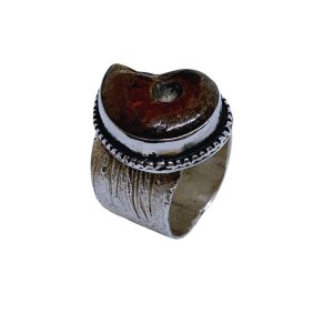 Ammonite Fossil Ring