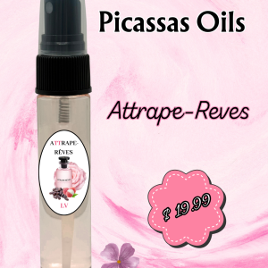 Attrape-Reves